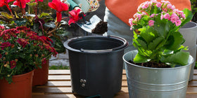 Nuestro saber  hacer