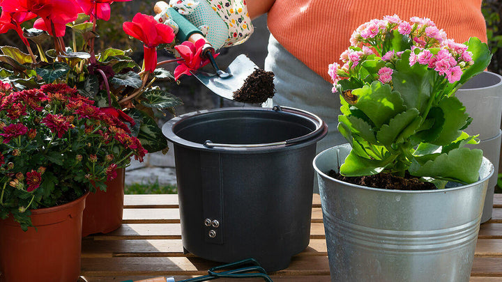 Nuestro saber  hacer